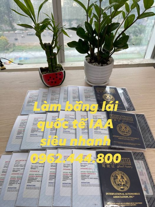 Cấp bằng quốc tế IAA giá sốc, uy tín tại Long An