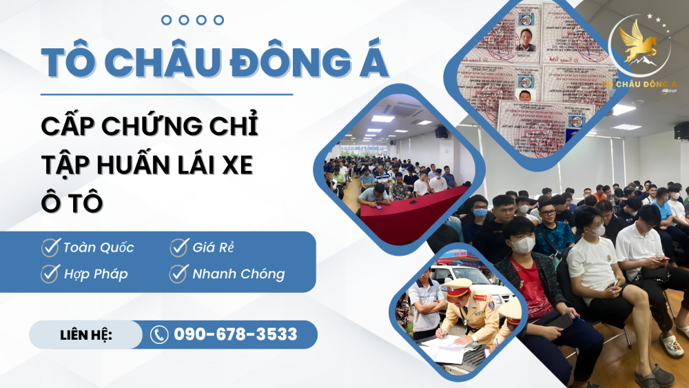 Cấp chứng chỉ tập huấn giá sốc tại Bình Thạnh, Hồ Chí Minh