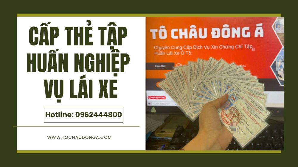 Cấp thẻ tập huấn nghiệp vụ lái xe tại Gia Lai nhanh chóng, uy tín, thủ tục cực dễ
