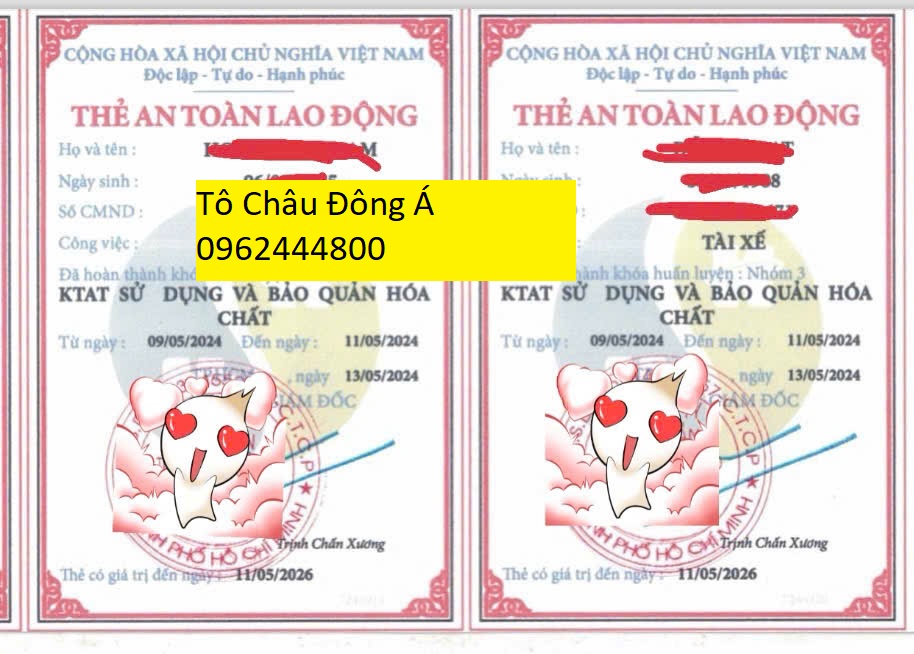 Mua chứng chỉ an toàn lao động giá rẻ tại Huế