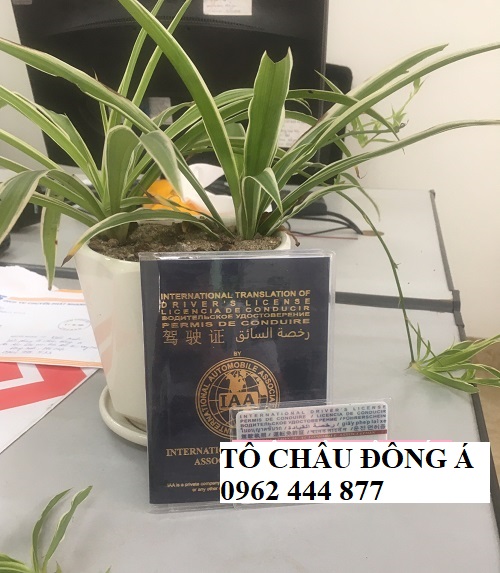 Đổi bằng lái quốc tế IAA nhanh ở Hải Dương
