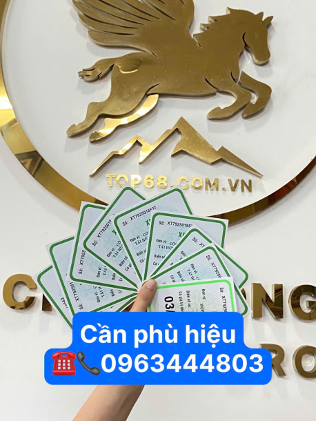 Hướng dẫn nộp tem phù hiệu xe hợp đồng tinh gọn ở Phú Thọ