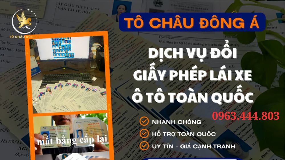 Bình Định đổi bằng lái xe ô tô giá rẻ uy tín