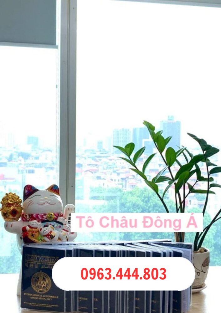 Cà Mau làm bằng lái quốc tế IAA uy tín, đảm bảo 