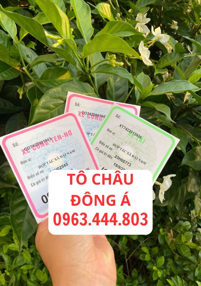 Cấp phù hiệu xe tải tại Điện Biên nhanh chóng, uy tín đảm bảo