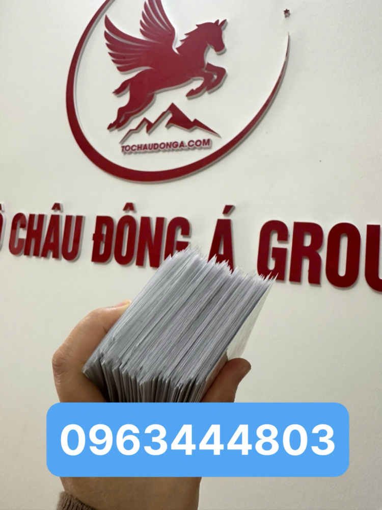 Chứng chỉ tập huấn nghiệp vụ lái xe cấp ở Hải Phòng chỉ 299k