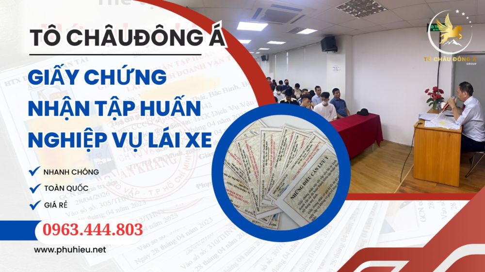 Chứng chỉ tập huấn tài xế online đơn giản, uy tín tại Khánh Hoà