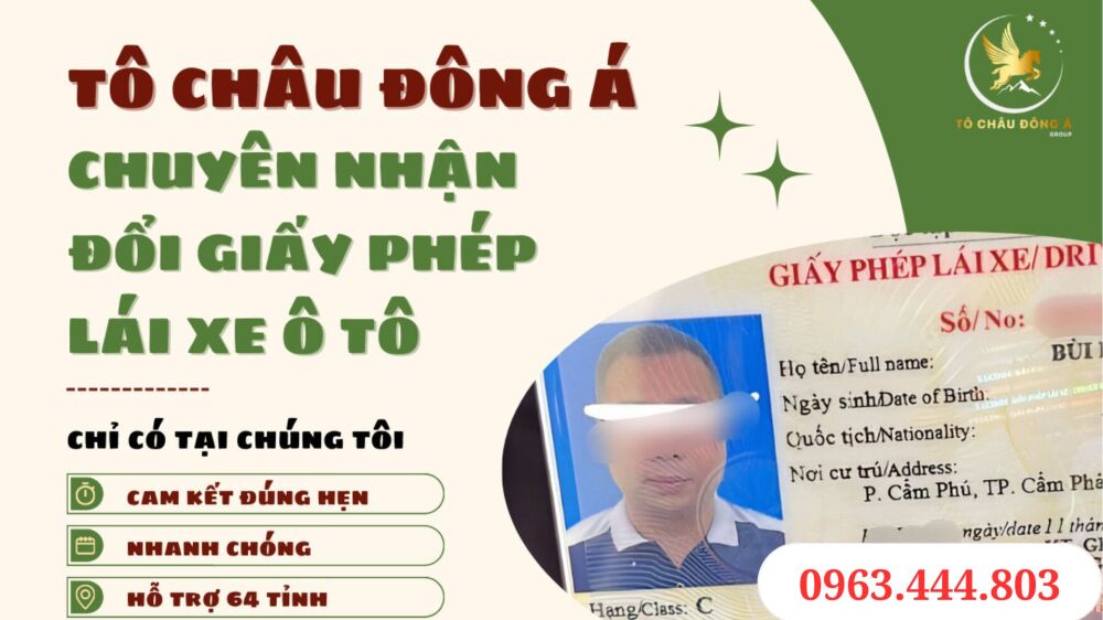 Dịch vụ làm đổi bằng lái xe online thuận tiện tại Thuận An, Bình Dương