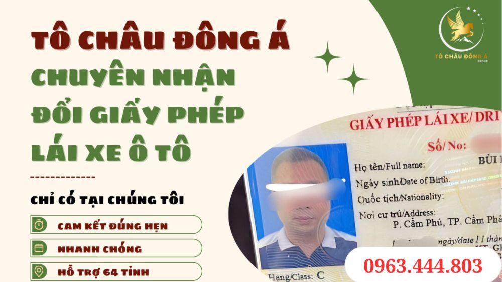 Đổi bằng lái xe ô tô  siêu rẻ, thủ tục đơn giản tinh gọn tại HỒ CHÍ MINH