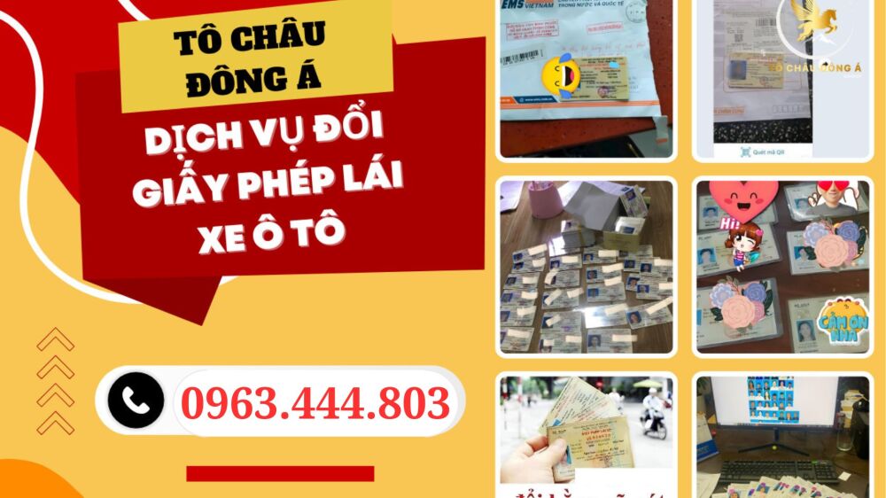 Gia hạn bằng, đổi bằng ô tô online nhanh ở thị xã Bắk Kạn