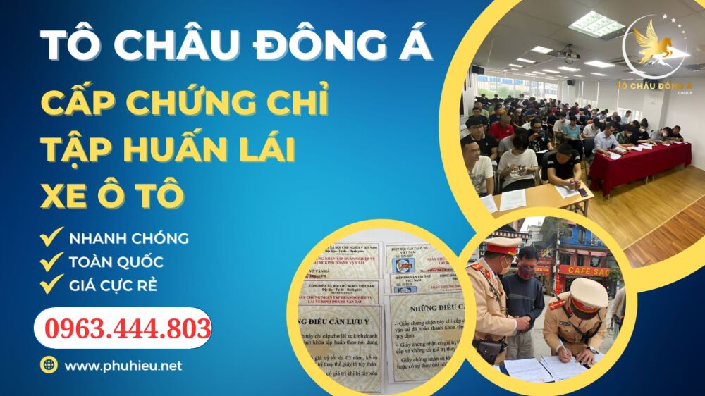 Làm Chứng chỉ tập huấn nghiệp vụ dành cho tài xế lái xe biển vàng tại An Giang