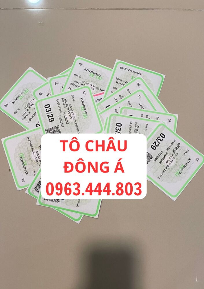 Làm Phù hiệu xe ô tô tại Tiền Giang cho xe kinh doanh