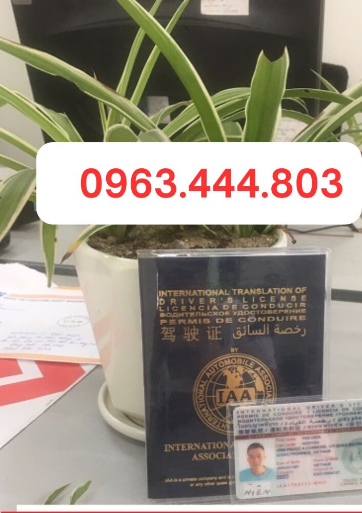 Nhận cấp bằng lái quốc tế IAA nhanh tại Khánh Hòa online