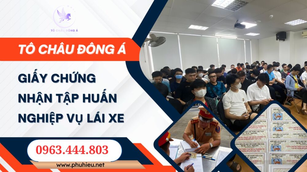 Nhận mở lớp online thẻ tập huấn nghiệp vụ lái xe ở Đà Lạt, Lâm Đồng
