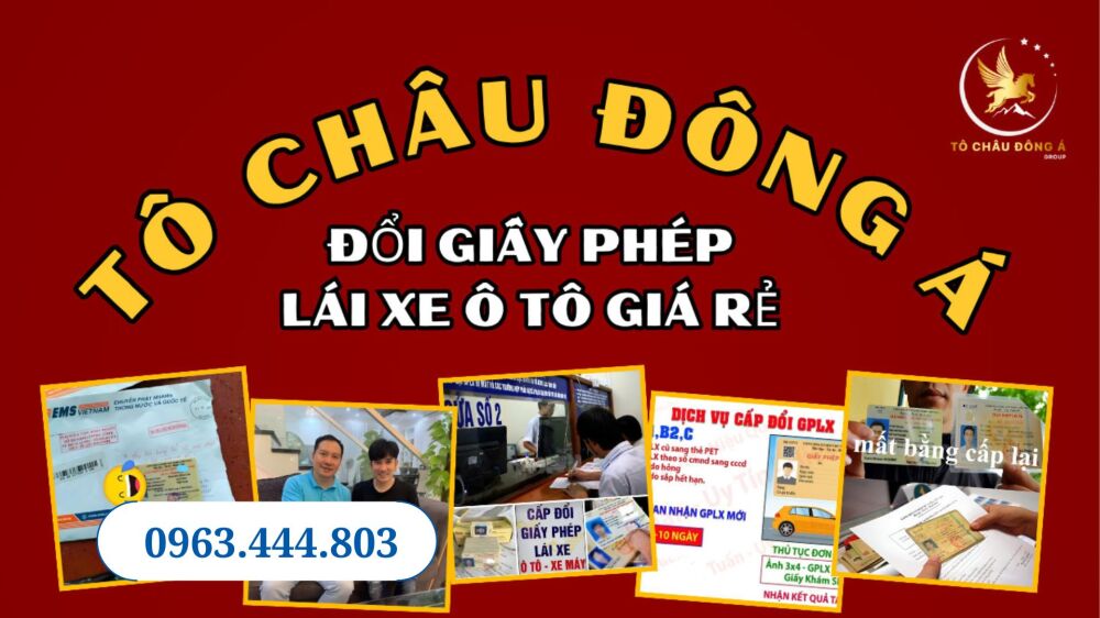 Quảng Bình đổi bằng lái xe ô tô uy tín đảm bảo