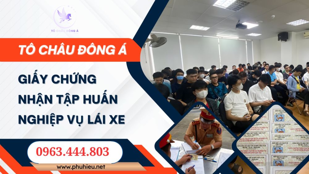 Thẻ Tập Huấn nghiệp vụ lái xe tại Bình Định Giá rẻ