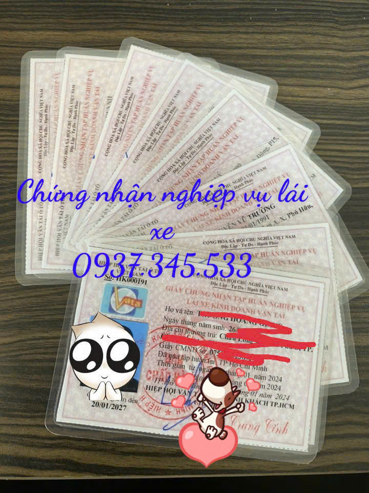 Cấp nhanh giấy tập huấn lái xe ở Hồ Chí Minh