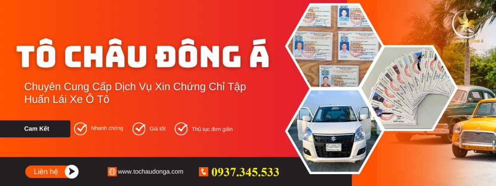 Cấp nhanh giấy tập huấn lái xe ở Hồ Chí Minh