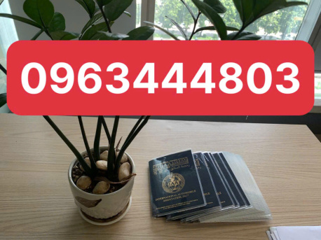 Làm giấy phép lái xe quốc tế IAA tại Sơn La đơn giản