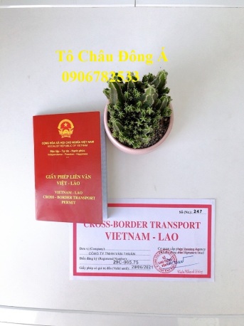 Làm giấy phép liên vận Việt - Lào tại TP. Hồ Chí Minh
