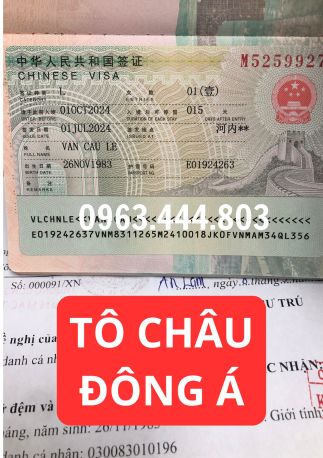 Làm Visa Trung Quốc online tại Bình Dương thuận tiện, giá rẻ