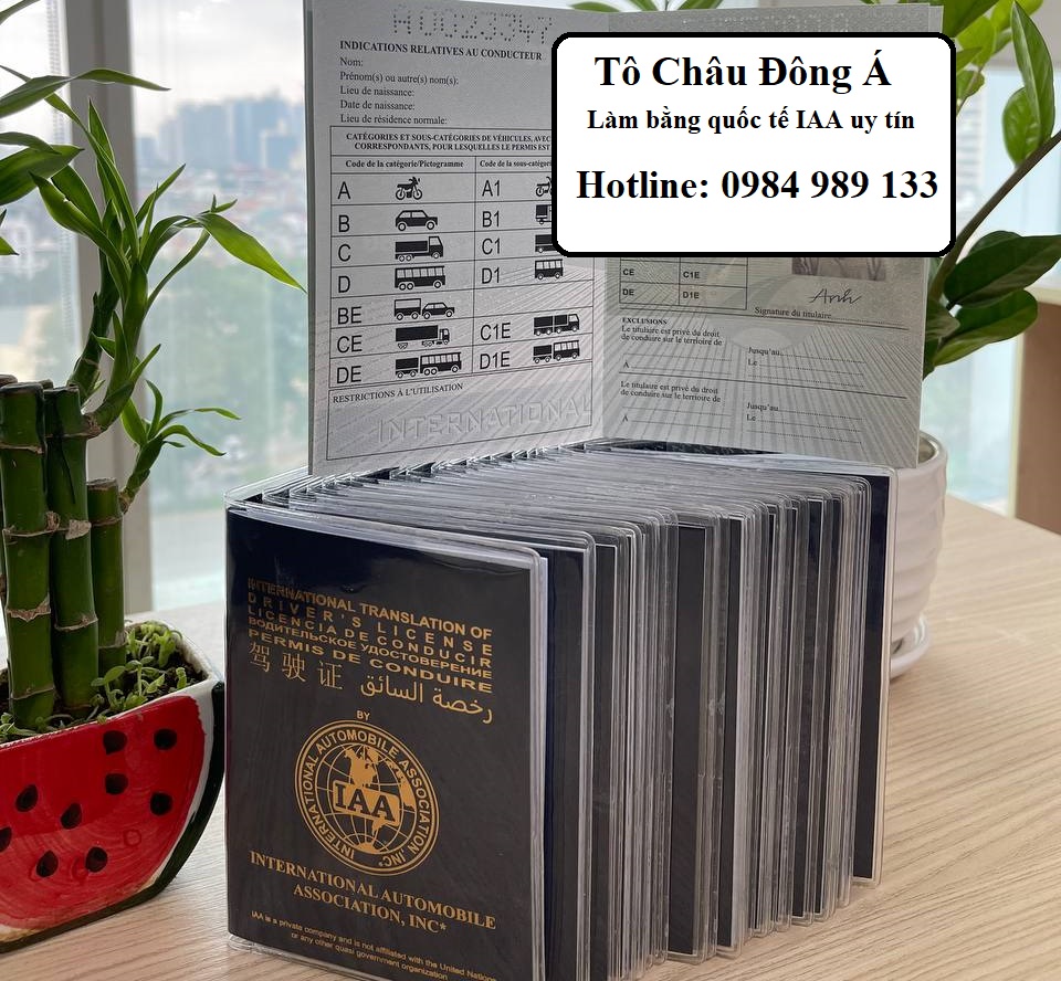 Cấp bằng lái xe quốc tế IAA nhanh chóng tại Bắc Giang