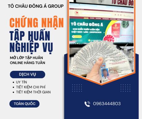 Mở lớp cho lái xe học tập huấn lái xe biển vàng tại Hạ Long, Quảng Ninh