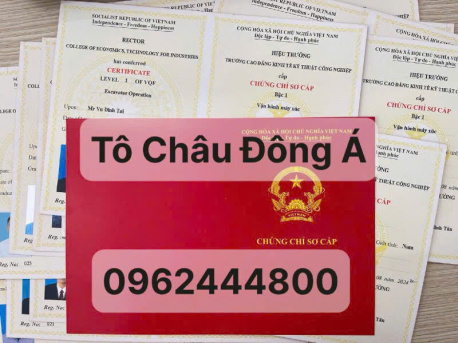 Mở lớp đào tạo cấp tốc chứng chỉ sơ cấp vận tải tại Đà Nẵng