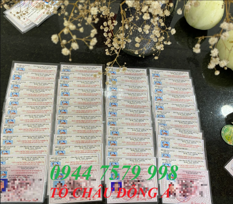 Mở lớp đào tạo tập huấn nghiệp vụ lái xe kinh doanh vận tải tại Đà Nẵng