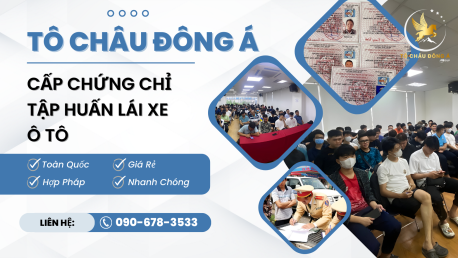 Mua chứng chỉ tập huấn nghiệp vụ lái xe giá rẻ tại Thái Bình