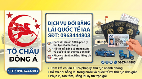 Nhận cấp giấy phép lái xe ô tô quốc tế IAA tại Đà Nẵng