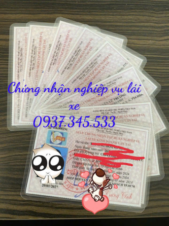 Nhận cung cấp thẻ nghiệp vụ lái xe cho tài xế tại Bình Dương chỉ từ 2 ngày