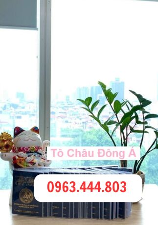 Quảng Nam làm bằng lái quốc tế IAA đơn giản nhất