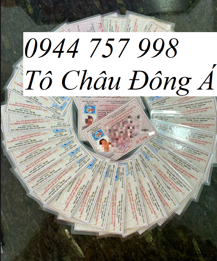 Mở lớp đào tạo tập huấn nghiệp vụ lái xe kinh doanh vận tải tại Hồng Ngự, Đồng Tháp