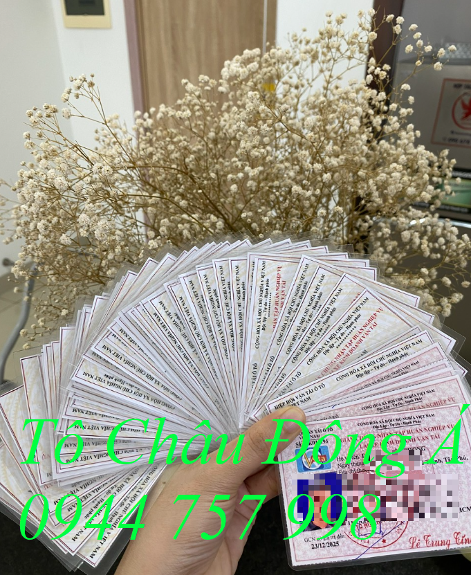 Mở lớp tập huấn nghiệp vụ lái xe tại Dĩ An, Bình Dương