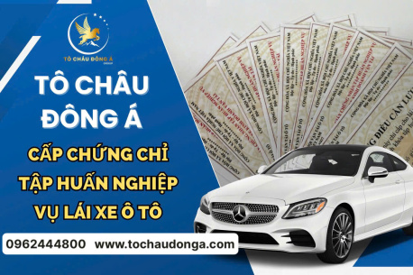Thẻ tập huấn nghiệp vụ lái xe ở Cà Mau