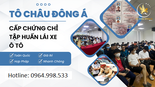 Chứng chỉ tập huấn nghiệp vụ lái xe kinh doanh vận tải cực nhanh, phí rẻ tại Gia Lai