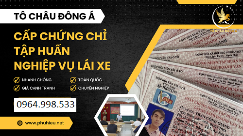 Chứng chỉ tập huấn nghiệp vụ lái xe tại Kiên Giang chi phí cực thấp chỉ 299k