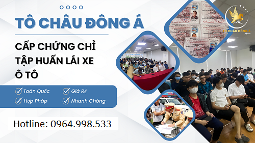 Dịch vụ cấp chứng chỉ tập huấn nghiệp vụ lái xe tại Quảng Ninh cực nhanh, phí rẻ