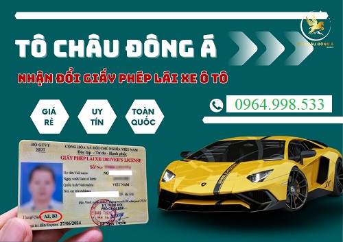 Đổi bằng lái xe online ở Đồng Tháp cực nhanh tại Tô Châu Đông Á