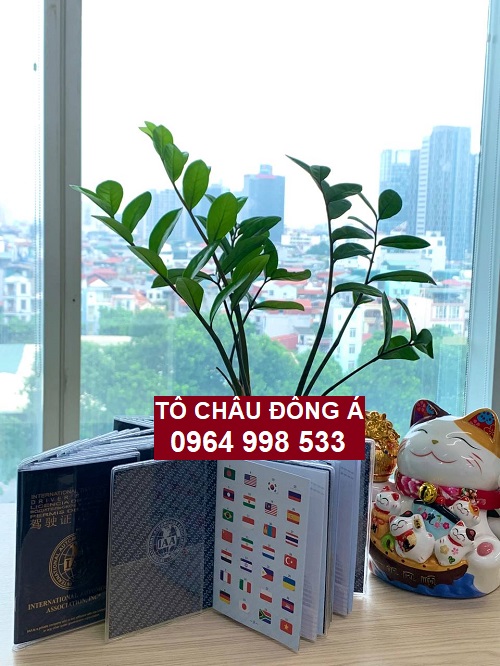Đổi bằng lái xe quốc tế IAA giá rẻ tại Sơn La