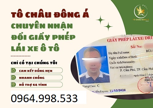 Đổi bằng lái xe siêu nhanh tại Lào Cai giá tốt