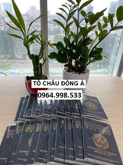 Đổi giấy phép lái xe quốc tế IAA tại Điện Biên giá rẻ