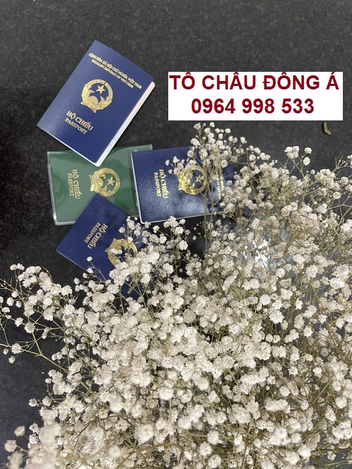 Hướng dẫn làm hộ chiếu online cực dễ tại Tiền Giang phí rẻ