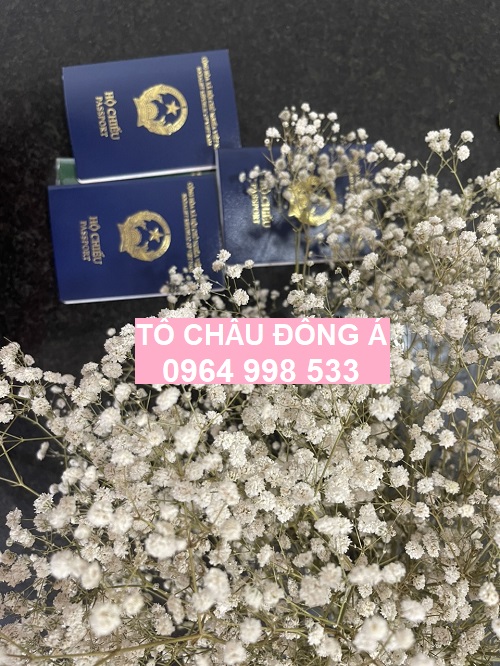 Hướng dẫn làm hộ chiếu online cực đơn giản tại Cần Thơ