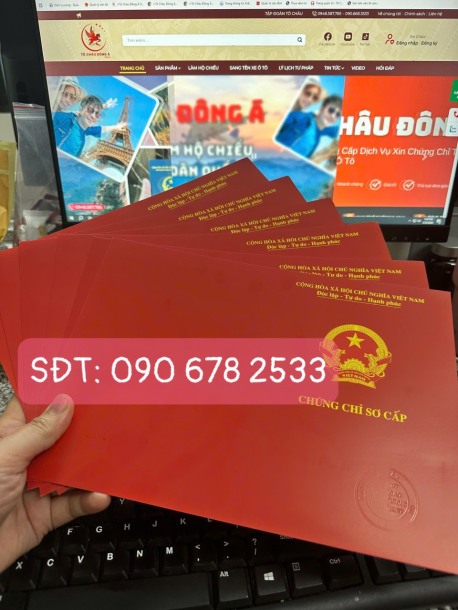 TUYỂN SINH LỚP SƠ CẤP VẬN TẢI CHO NGƯỜI ĐIỀU HÀNH VẬN TẢI