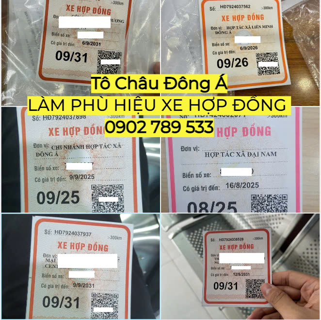 Làm nhanh PHÙ HIỆU XE HỢP ĐỒNG uy tín tại Vũng Tàu