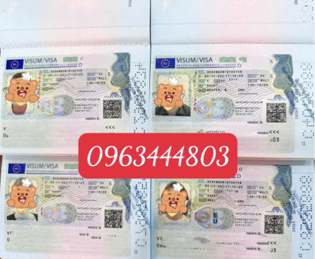 Xin Visa Trung Quốc tại Bắc Giang đơn giản, uy tín